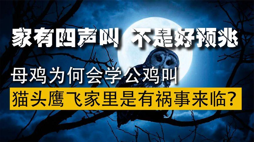 “家有四声叫，不是好预兆”，具体指的哪“四声”？有什么预兆「屋对面有座坟怎么办」 电动三轮车