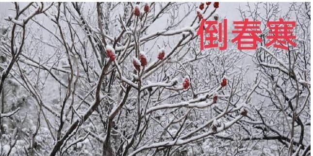 “春分不到雪不断，清明还寒要穿棉”，农谚预测年景，啥说法「中央气象台四预警齐发」 电动车